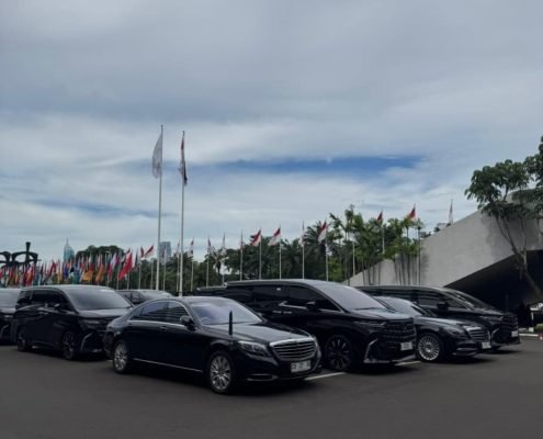 WhatsApp Image 2026-02-14 at 14.36.09 (1)